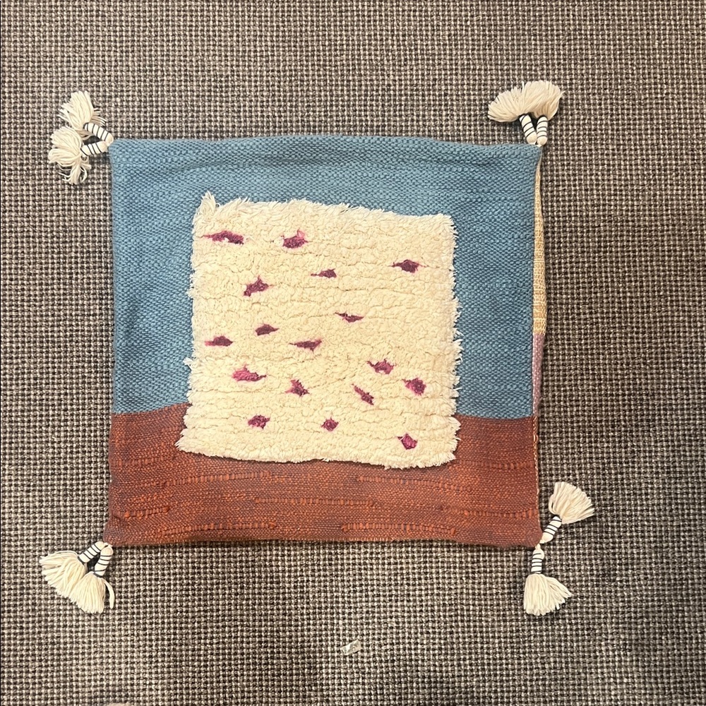 Anthropologie throw pillow